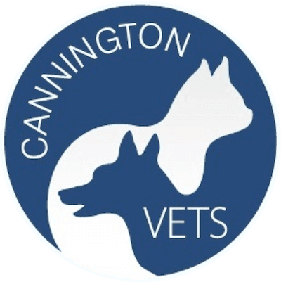 Practice logo