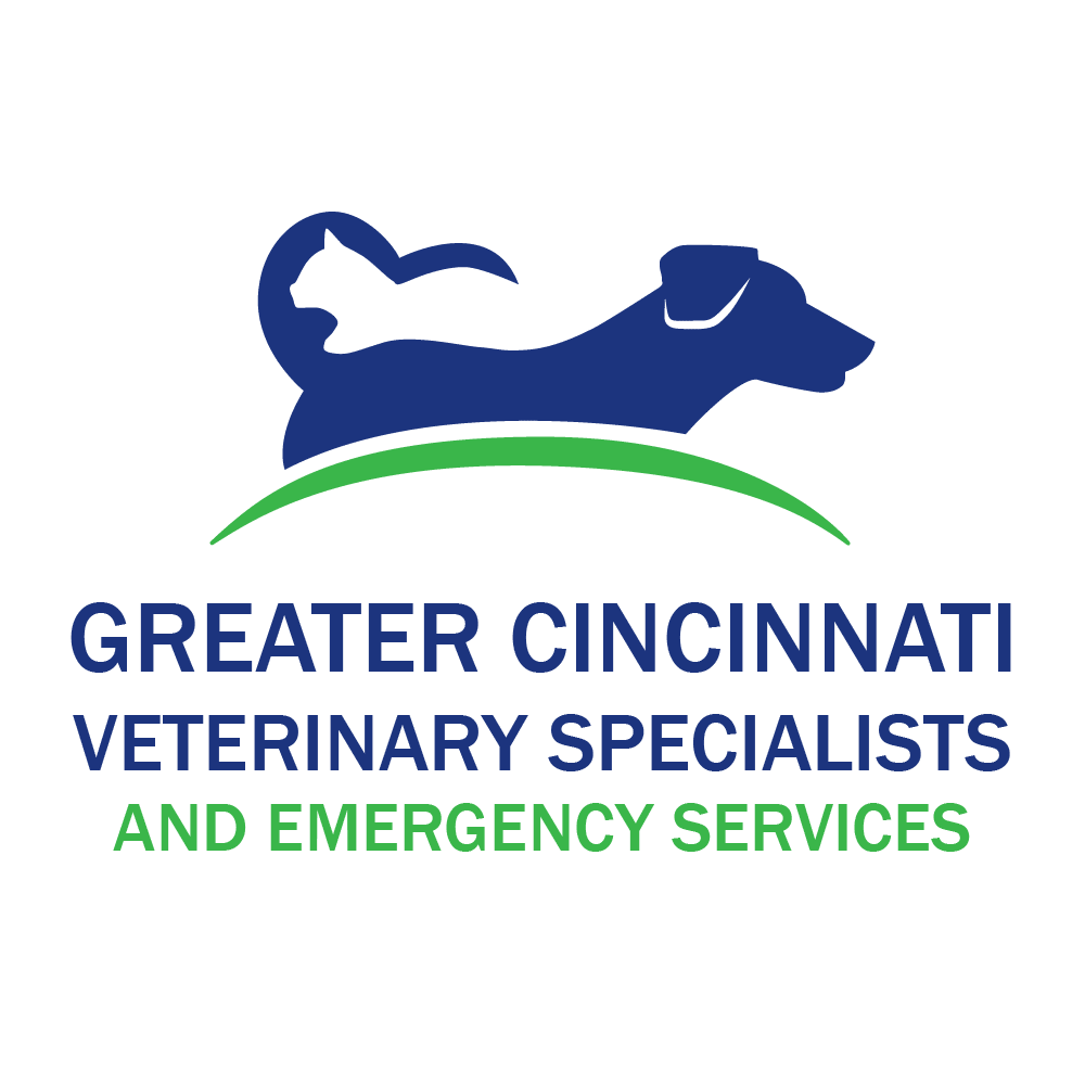 Practice logo