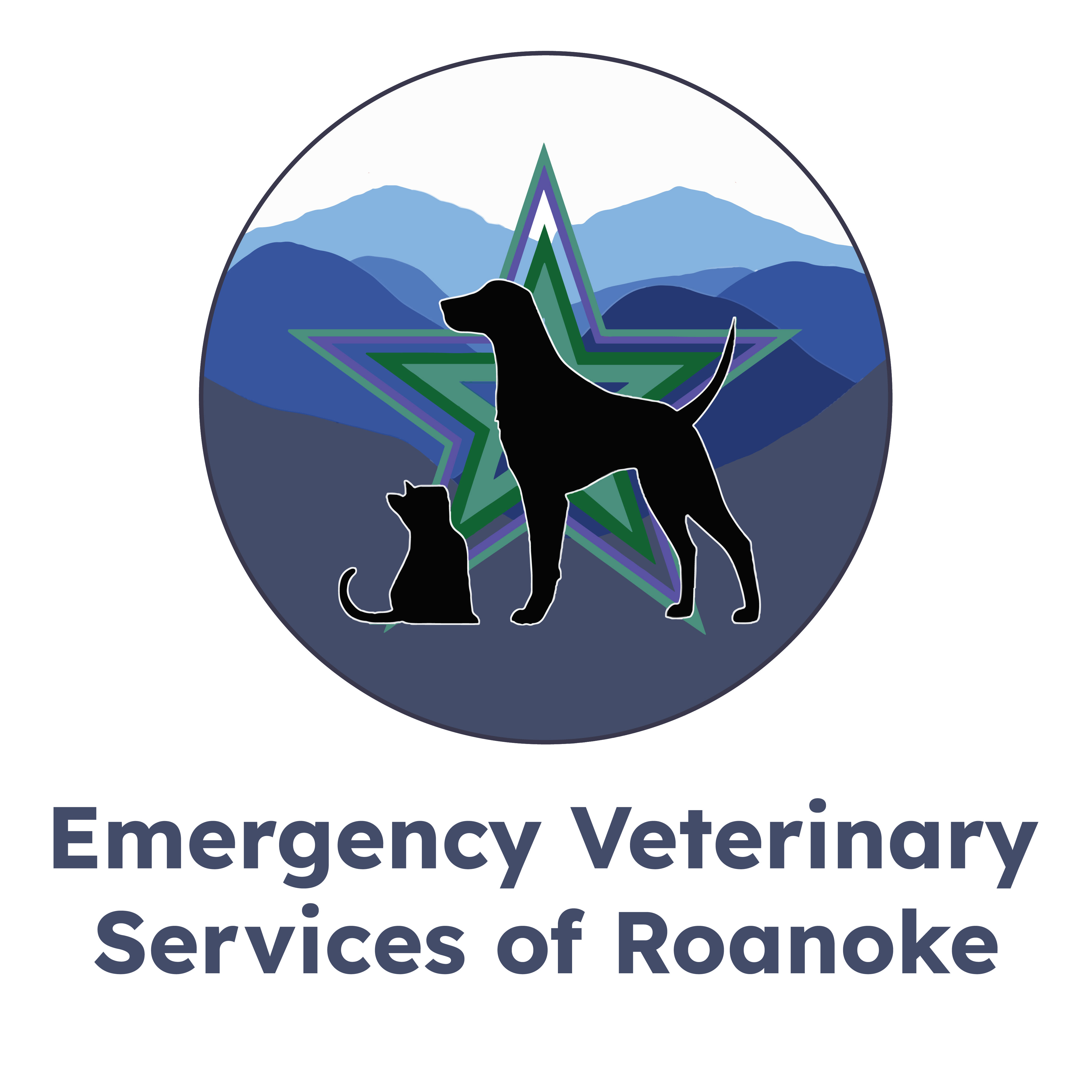 Practice logo