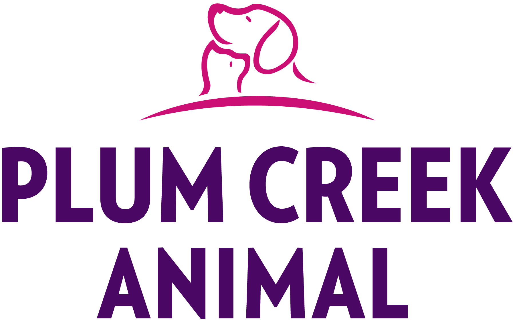 Practice logo