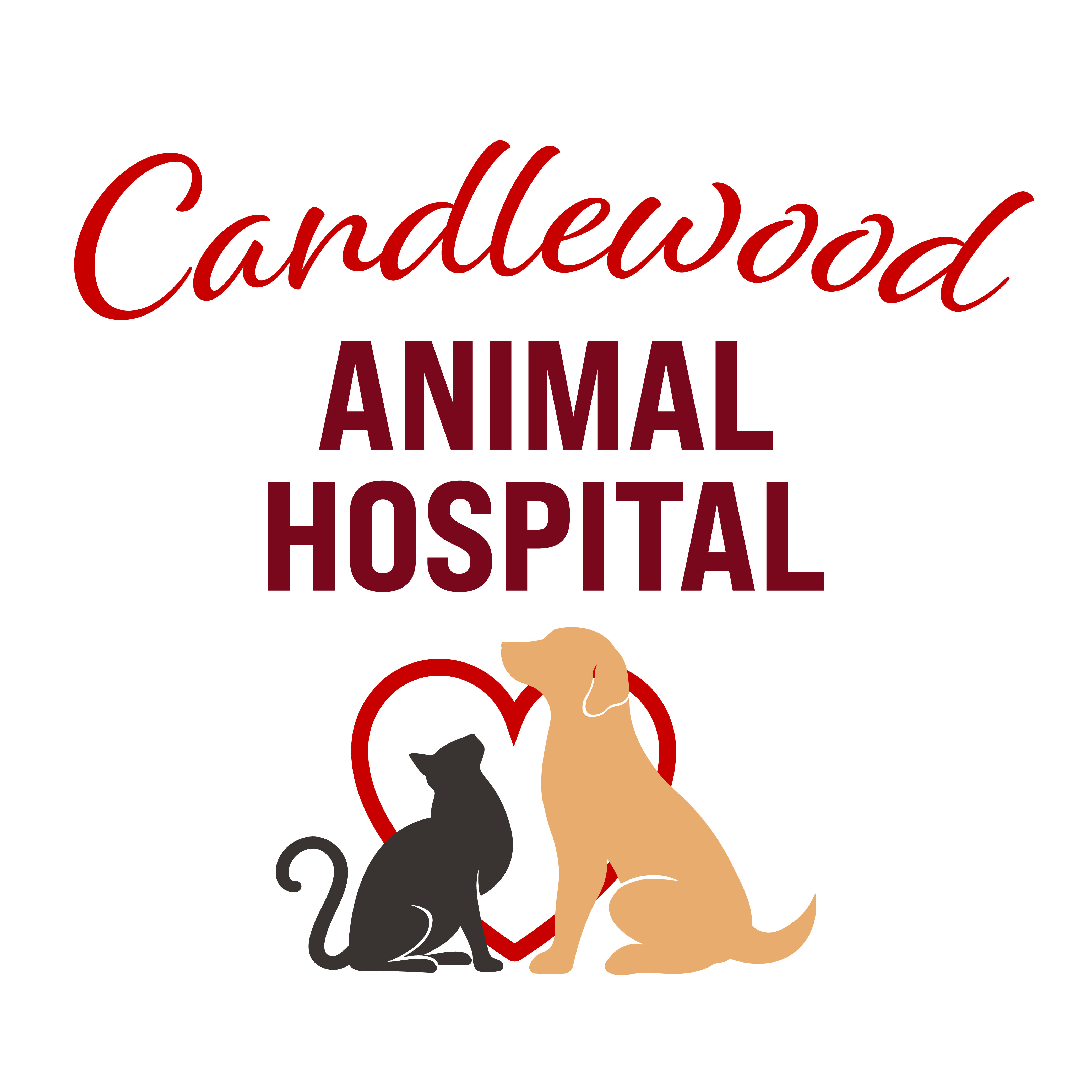 Practice logo