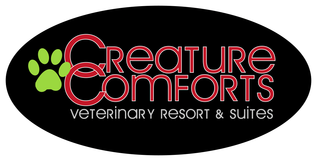 Practice logo