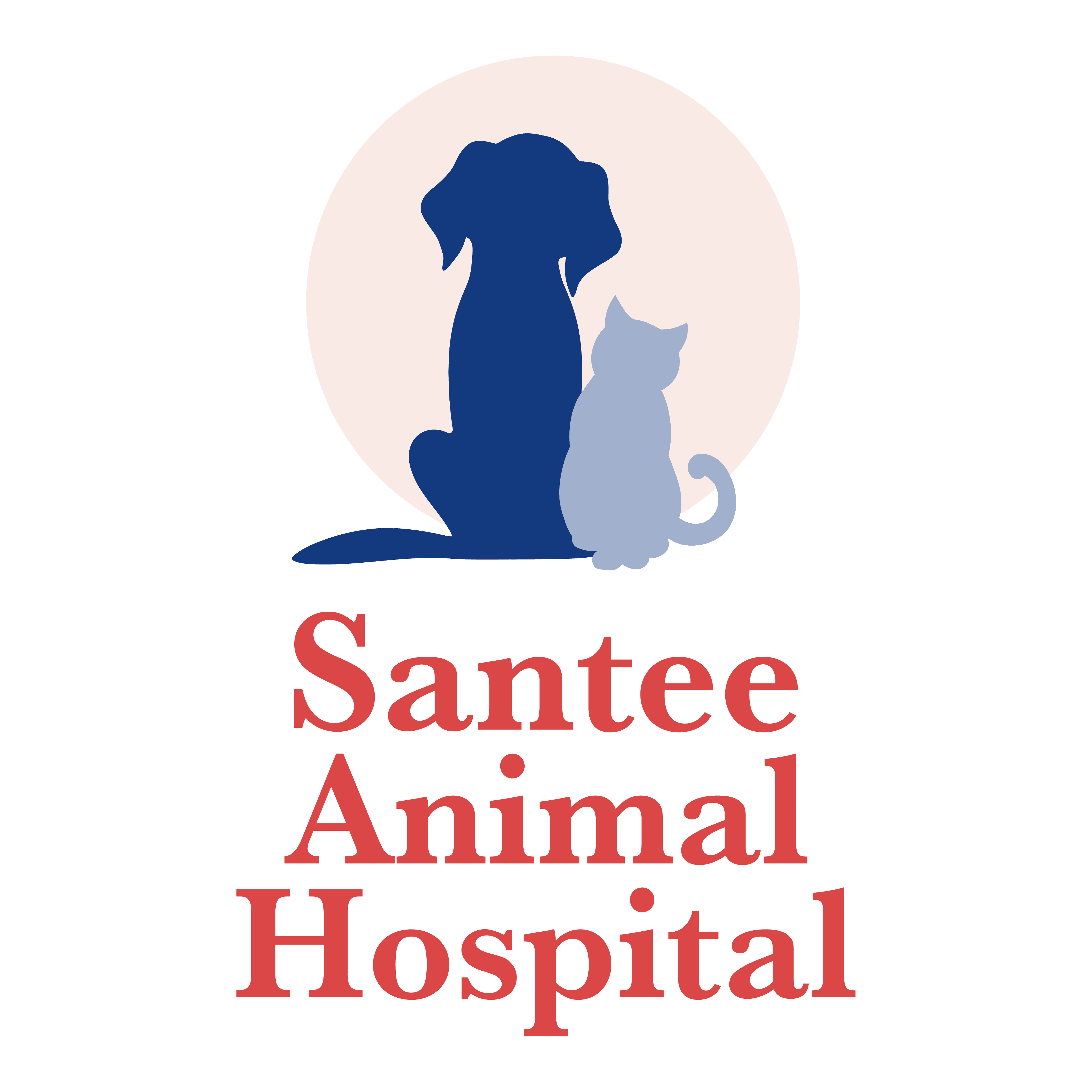 Practice logo