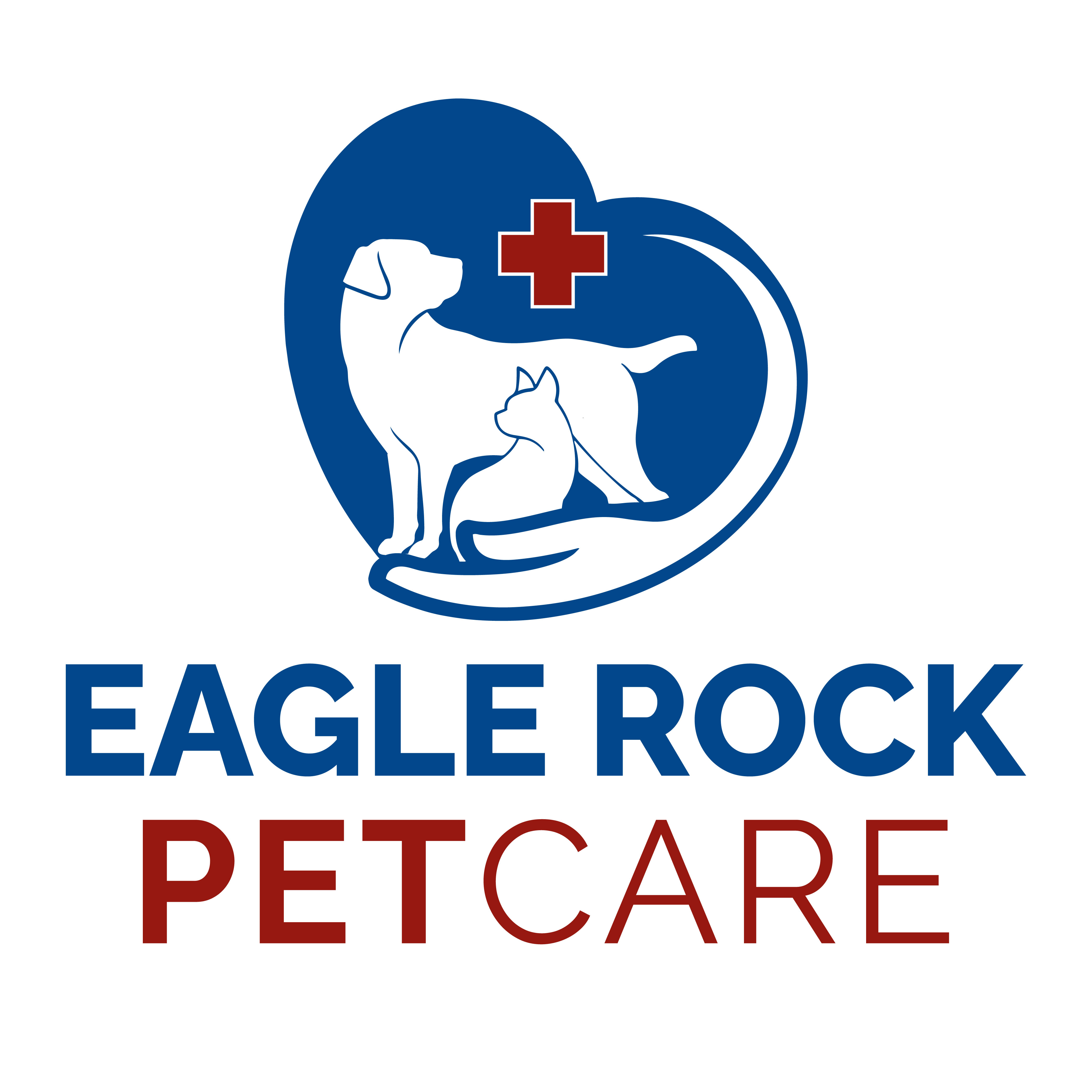 Practice logo