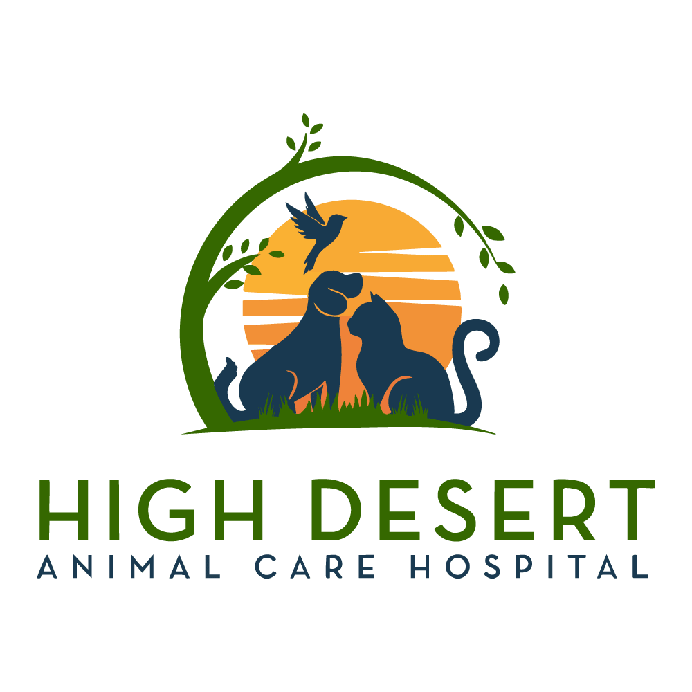 Practice logo