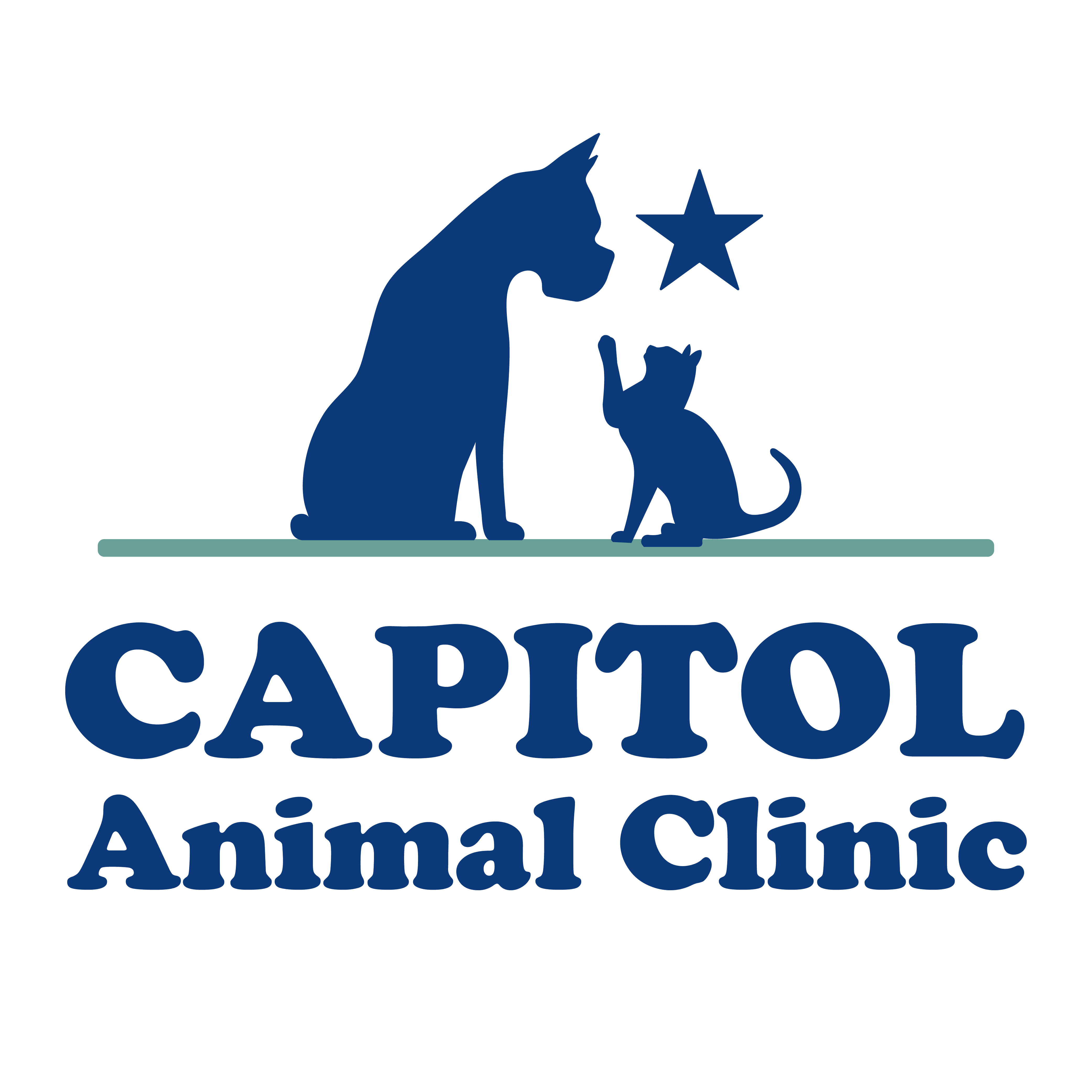 Practice logo