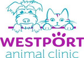 Practice logo