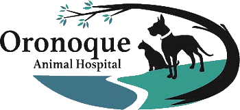 Practice logo
